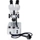 Бінокулярний мікроскоп  ZTX-20 (10x; 2x/4x) Прев'ю 2